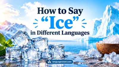 How to Say Ice in Different Languages
